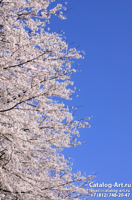 Blossom tree 97